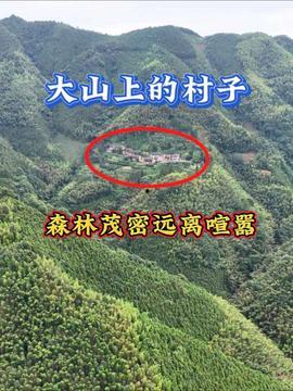 山下 的在线视频,揭秘自然与人文交融的生态奇观